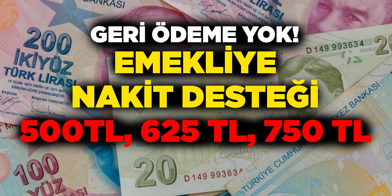 Emekliler Müjde! Bu Bayram'da emeklinin yüzü gülecek, 750 tl'ye kadar ek ödeme müjdesi
