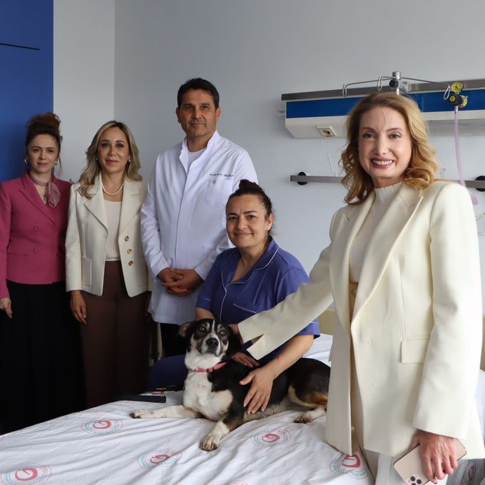 AKP Milletvekili Tuba Vural Çokal Tepki Çekti: Ameliyatlı Hastaları Köpeklerle Ziyaret Etti!