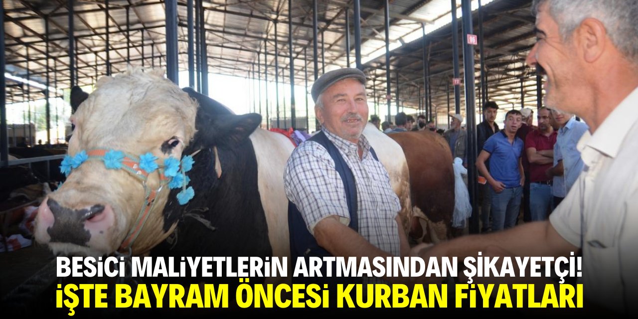Bayram Öncesi Kurbanlık Fiyatları Netleşti. Besici Maliyetlerin Artmasından Şikayetçi!