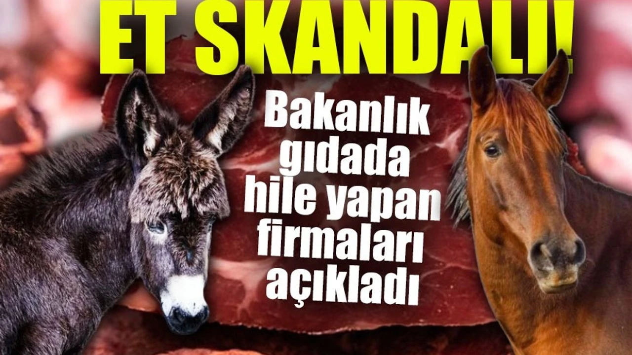 Tarım Bakanlığı Uyardı! Dana Eti Diye At ve Eşek Eti satıldı