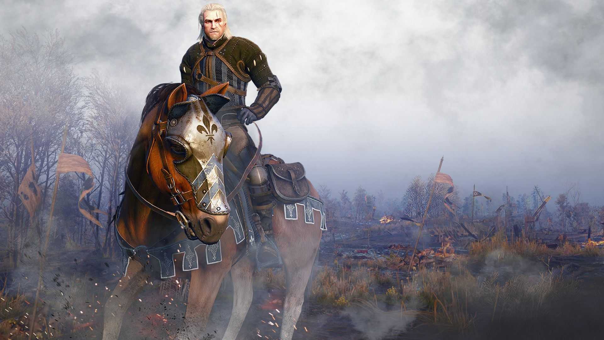 the witcher 3 wild hunt