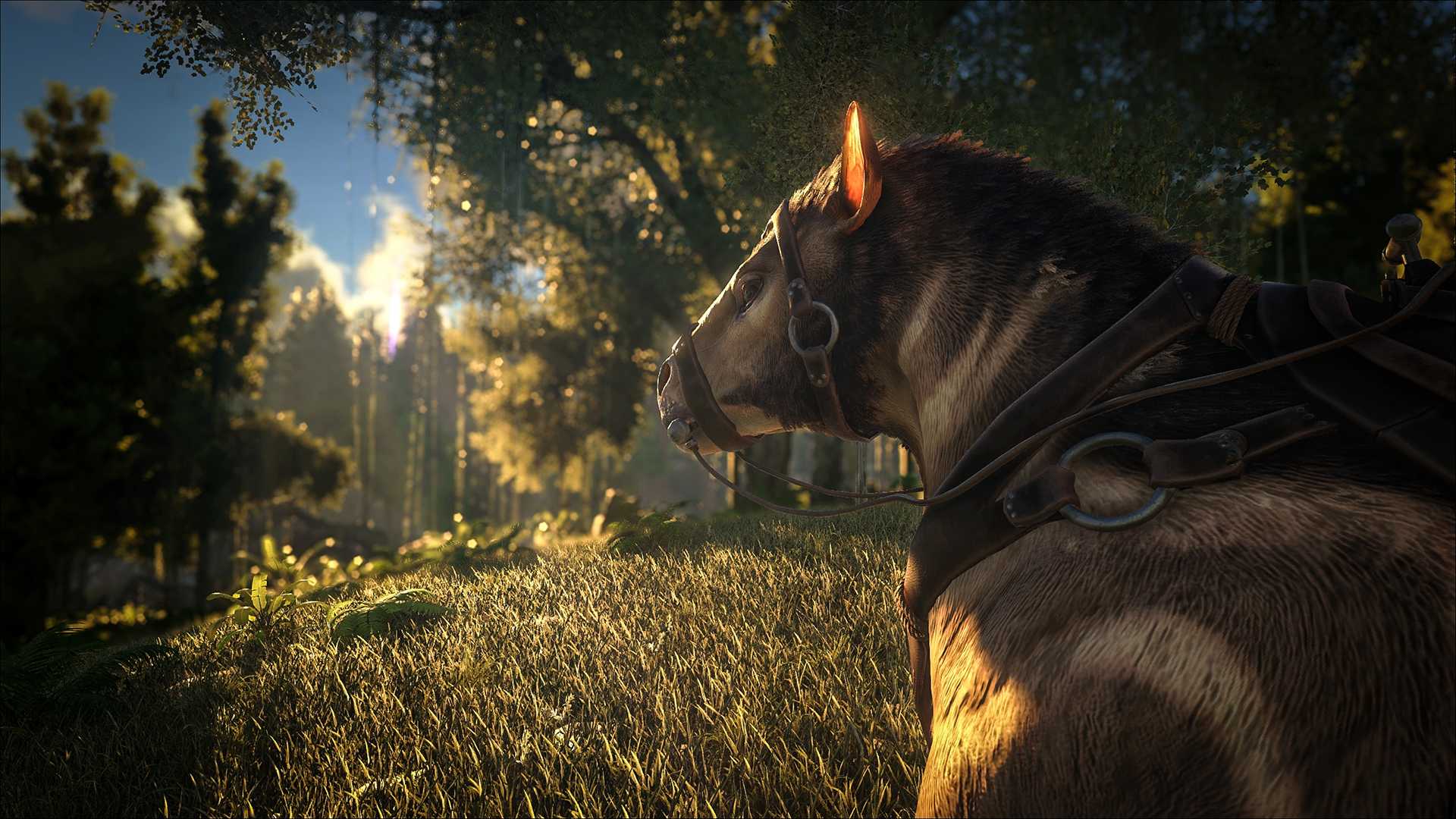 Ark: Survival Evolved